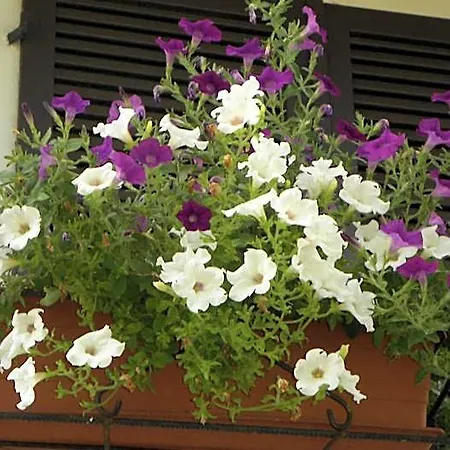 A Casa B&B Cerrione