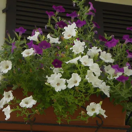 Bed and Breakfast A Casa Cerrione