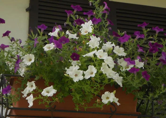 Oda ve Kahvaltı A Casa Cerrione